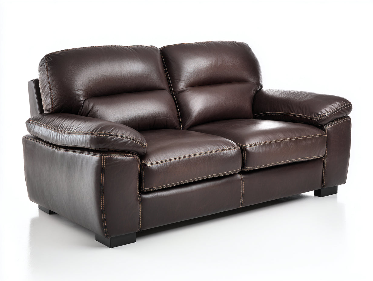 Canapé 2 places - Cuir - 180 x 92 x 84 cm - Marron foncé - Style contemporain